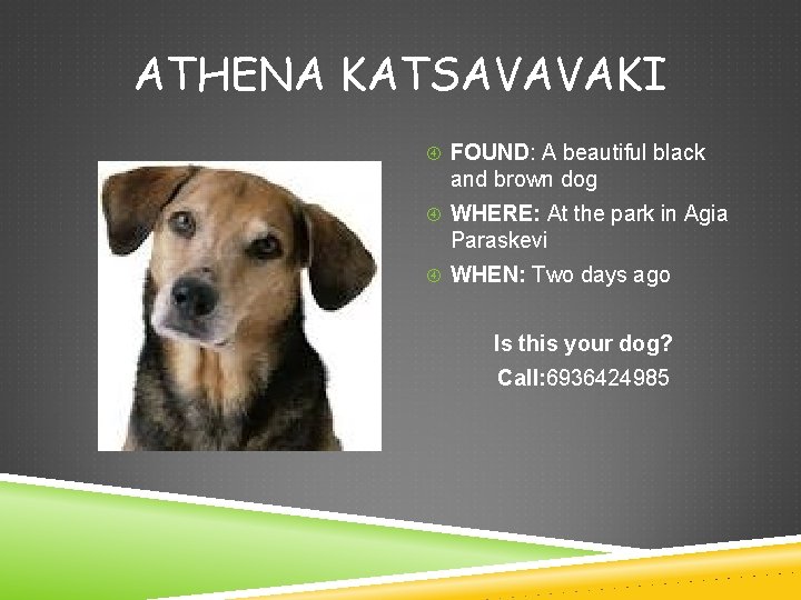 ATHENA KATSAVAVAKI FOUND: A beautiful black and brown dog WHERE: At the park in