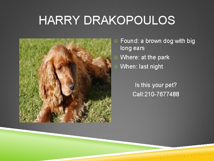 HARRY DRAKOPOULOS Found: a brown dog with big long ears Where: at the park
