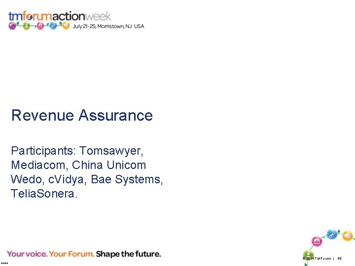 Revenue Assurance Participants: Tomsawyer, Mediacom, China Unicom Wedo, c. Vidya, Bae Systems, Telia. Sonera.