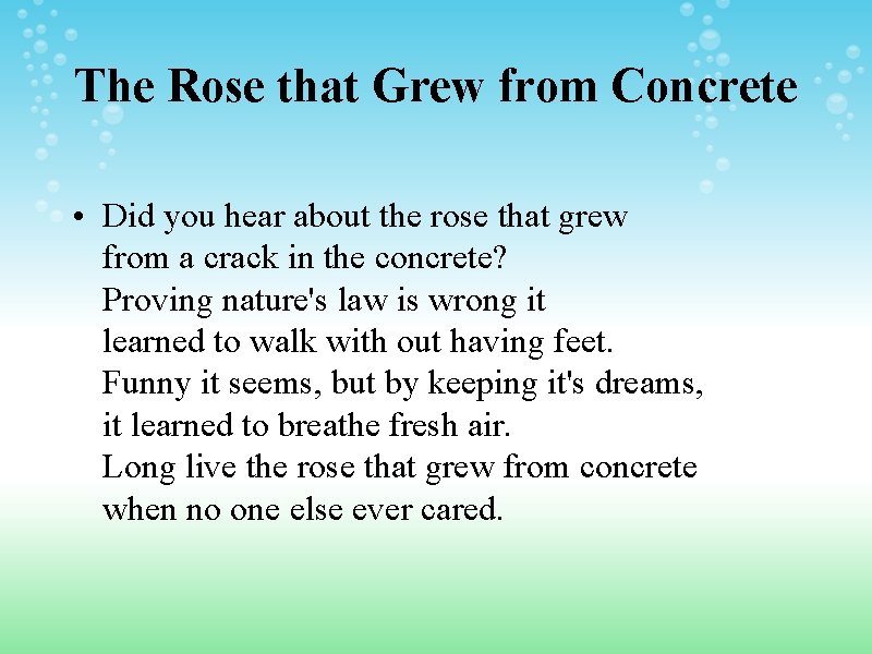 The Rose that Grew from Concrete • Did you hear about the rose that