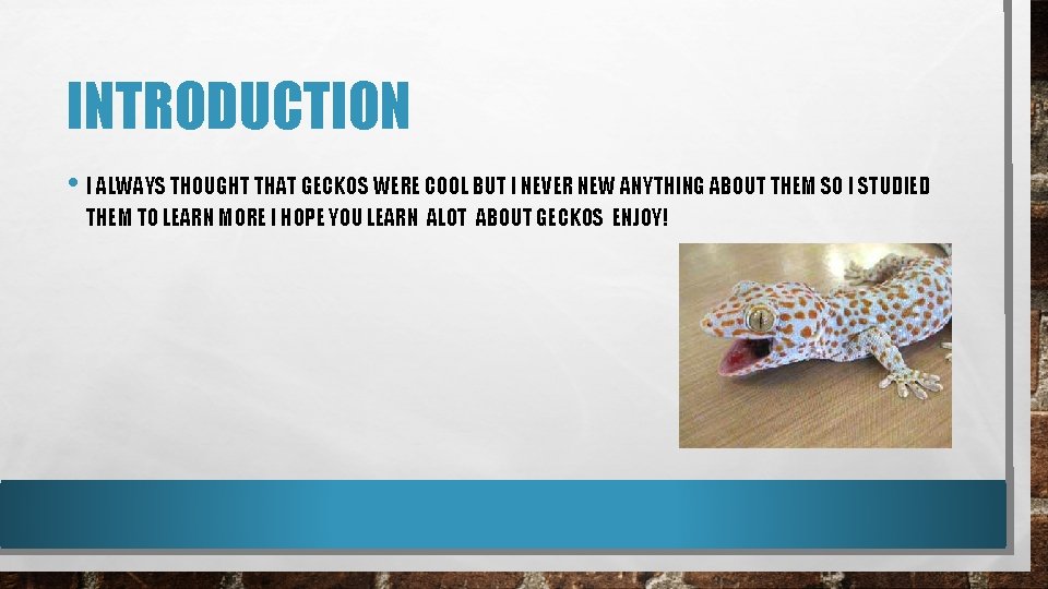 INTRODUCTION • I ALWAYS THOUGHT THAT GECKOS WERE COOL BUT I NEVER NEW ANYTHING