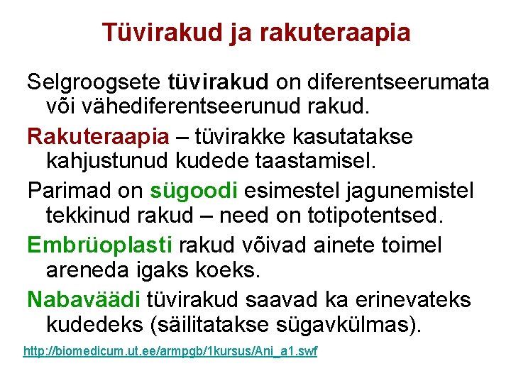 Tüvirakud ja rakuteraapia Selgroogsete tüvirakud on diferentseerumata või vähediferentseerunud rakud. Rakuteraapia – tüvirakke kasutatakse