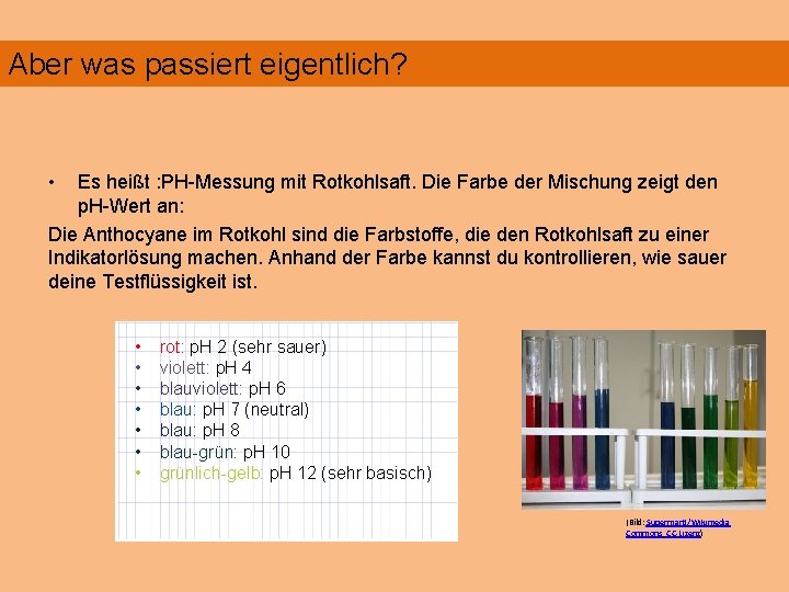 636 Aber was passiert eigentlich? • Es heißt : PH-Messung mit Rotkohlsaft. Die Farbe