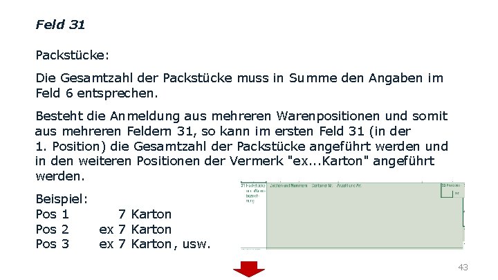 Feld 31 Packstücke: Die Gesamtzahl der Packstücke muss in Summe den Angaben im Feld