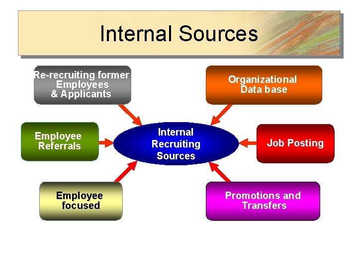 Internal Sources Re-recruiting former Employees & Applicants Employee Referrals Employee focused Organizational Data base