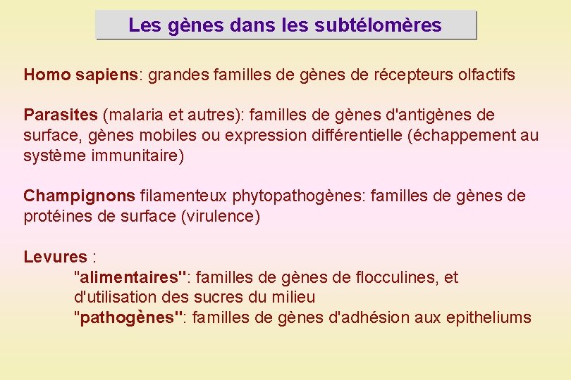 Les gènes dans les subtélomères Homo sapiens: grandes familles de gènes de récepteurs olfactifs