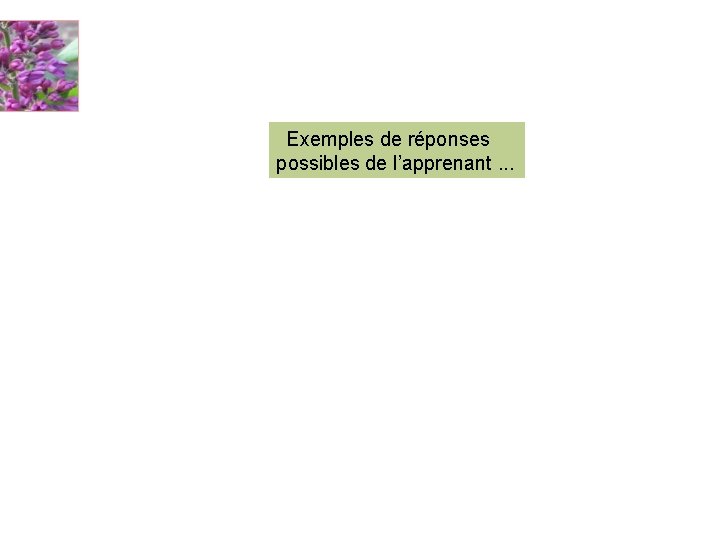  Exemples de réponses possibles de l’apprenant. . . 