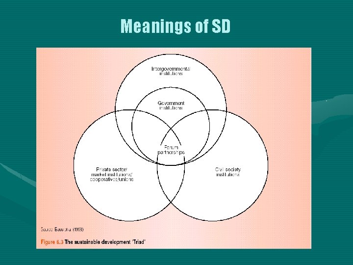 Meanings of SD 