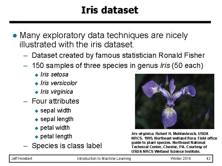 Iris dataset l Many exploratory data techniques are nicely illustrated with the iris dataset.