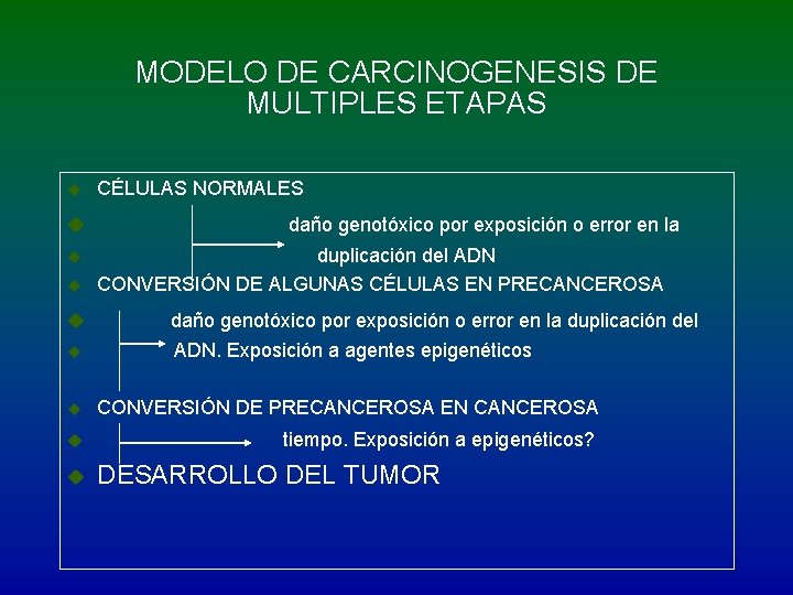 MODELO DE CARCINOGENESIS DE MULTIPLES ETAPAS u u CÉLULAS NORMALES daño genotóxico por exposición
