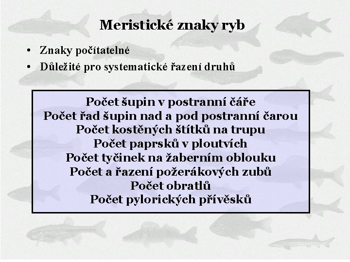 Meristické znaky ryb • Znaky počítatelné • Důležité pro systematické řazení druhů Počet šupin