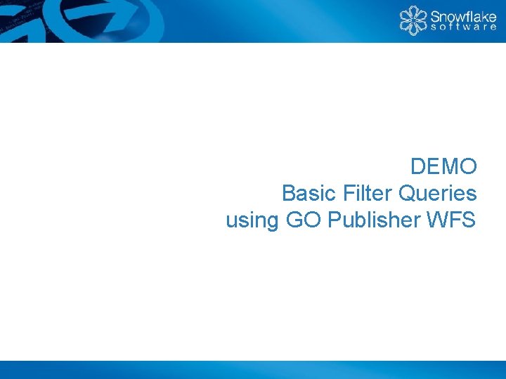 DEMO Basic Filter Queries using GO Publisher WFS 