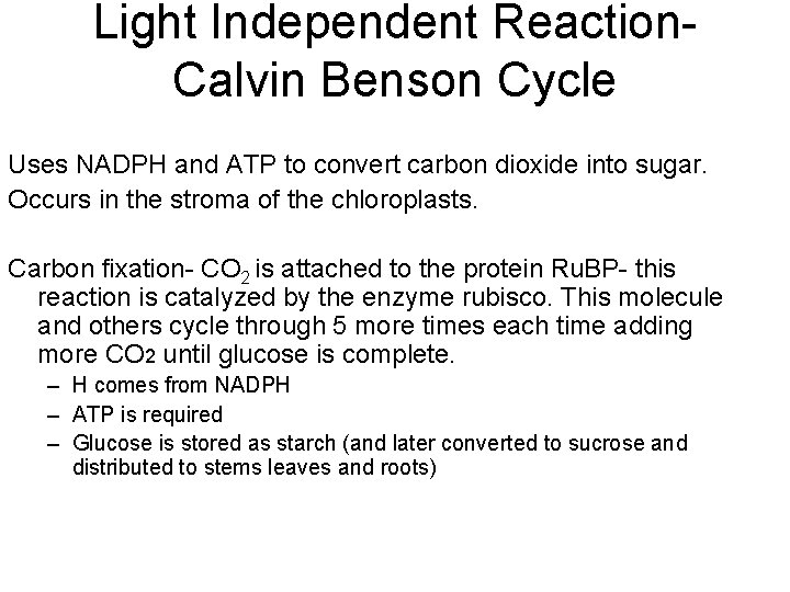 Light Independent Reaction. Calvin Benson Cycle Uses NADPH and ATP to convert carbon dioxide Light Independent Reaction. Calvin Benson Cycle Uses NADPH and ATP to convert carbon dioxide