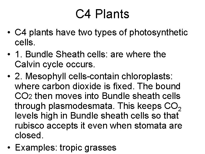 C 4 Plants • C 4 plants have two types of photosynthetic cells. •