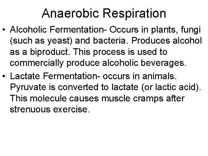 Anaerobic Respiration • Alcoholic Fermentation- Occurs in plants, fungi (such as yeast) and bacteria. Anaerobic Respiration • Alcoholic Fermentation- Occurs in plants, fungi (such as yeast) and bacteria.