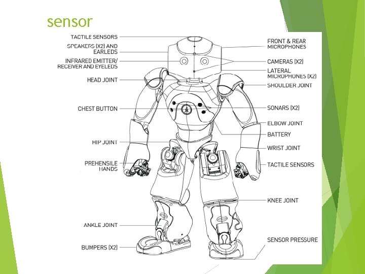 sensor 