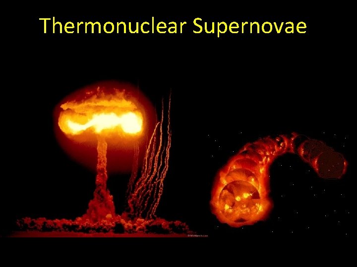 Thermonuclear Supernovae 