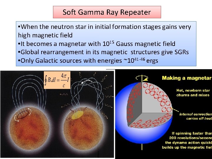 Soft Gamma Ray Repeater • When the neutron star in initial formation stages gains