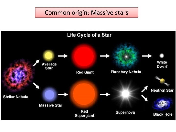 Common origin: Massive stars 