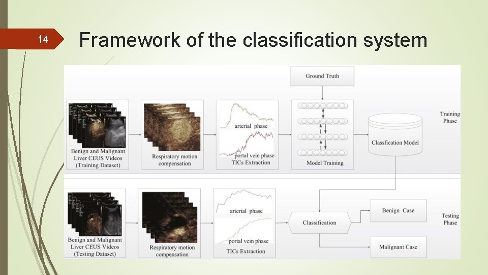 14 Framework of the classification system 