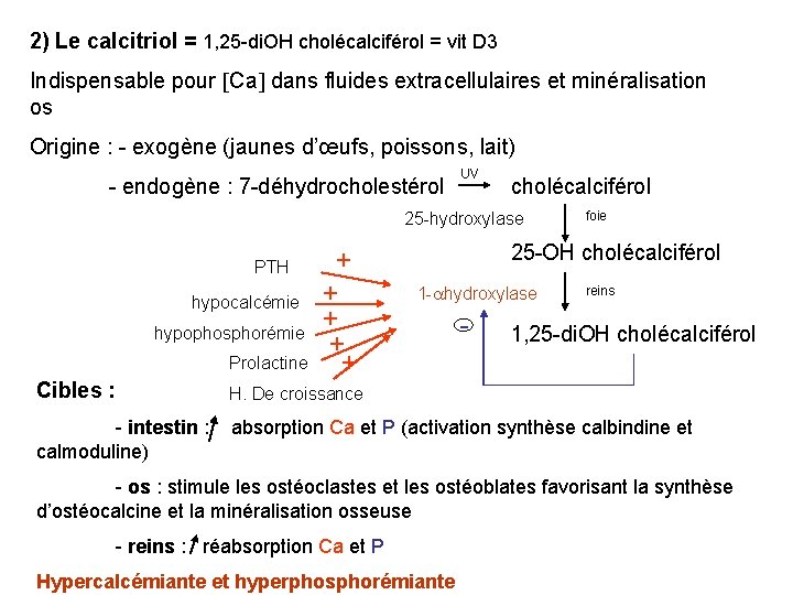 2) Le calcitriol = 1, 25 -di. OH cholécalciférol = vit D 3 Indispensable