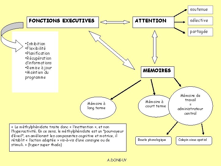 soutenue FONCTIONS EXECUTIVES ATTENTION sélective partagée • Inhibition • Flexibilité • Planification • Récupération