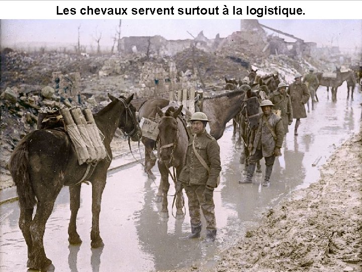 Les chevaux servent surtout à la logistique. 