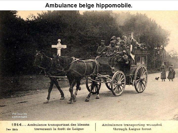 Ambulance belge hippomobile. PATAGON DIAPORAMAS 