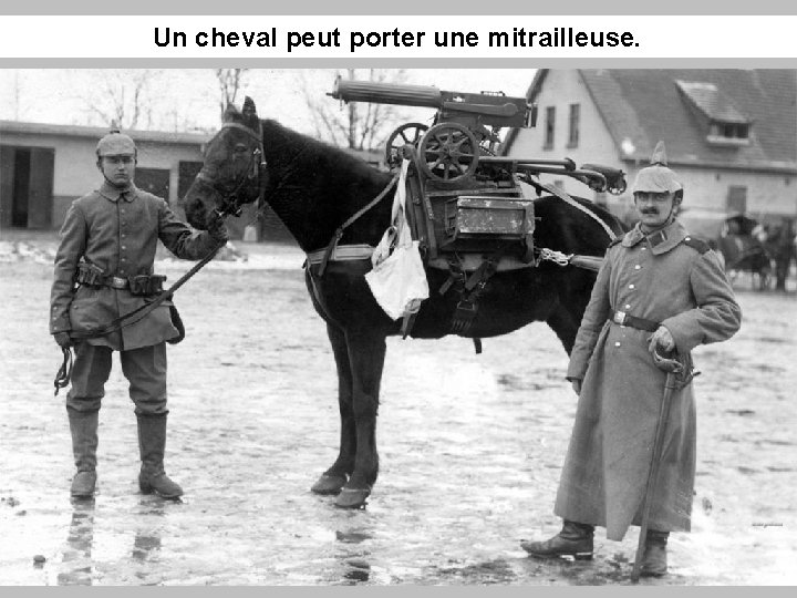 Un cheval peut porter une mitrailleuse. 