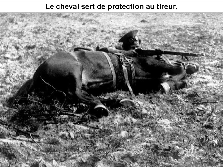 Le cheval sert de protection au tireur. 