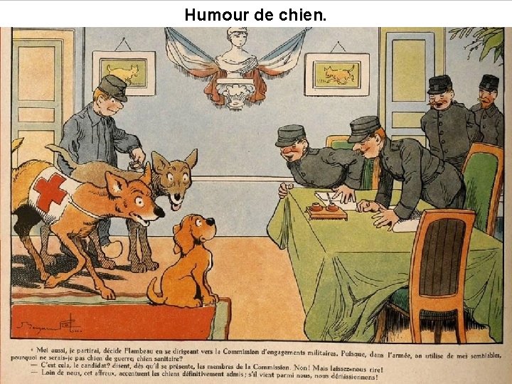 Humour de chien. 