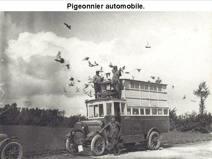 Pigeonnier automobile. 