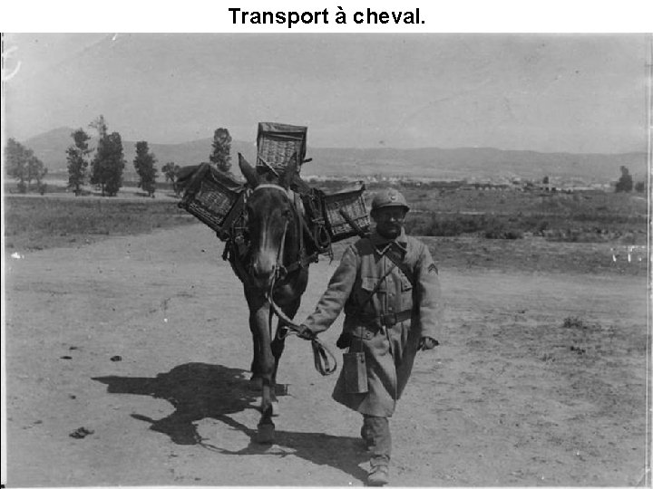 Transport à cheval. 