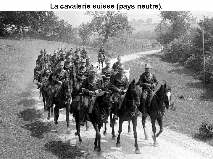 La cavalerie suisse (pays neutre). 