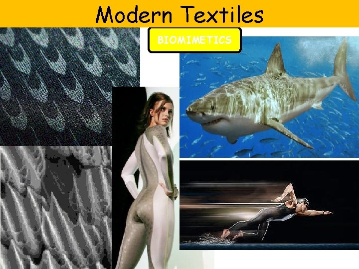 Modern Textiles BIOMIMETICS 