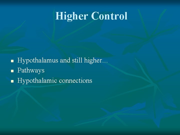 Higher Control n n n Hypothalamus and still higher… Pathways Hypothalamic connections 