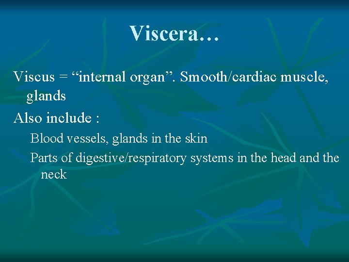 Viscera… Viscus = “internal organ”. Smooth/cardiac muscle, glands Also include : Blood vessels, glands