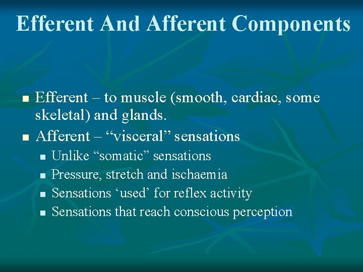 Efferent And Afferent Components n n Efferent – to muscle (smooth, cardiac, some skeletal)