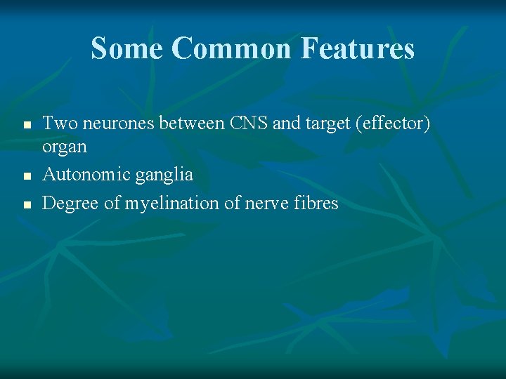 Some Common Features n n n Two neurones between CNS and target (effector) organ