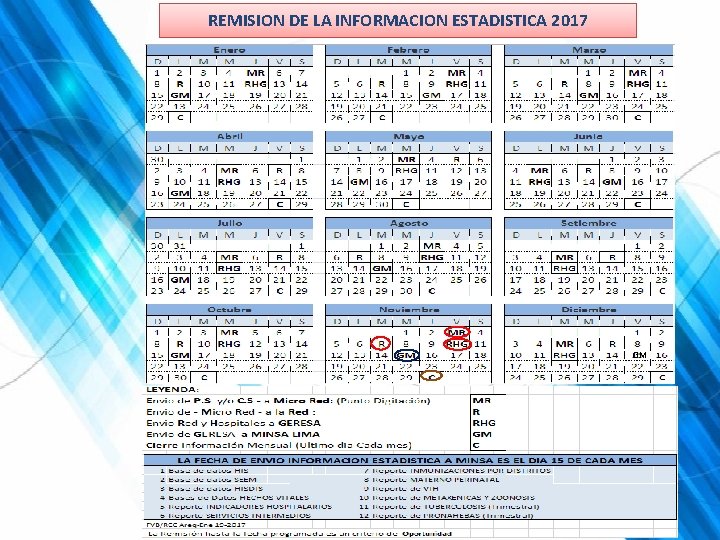 REMISION DE LA INFORMACION ESTADISTICA 2017 GM 
