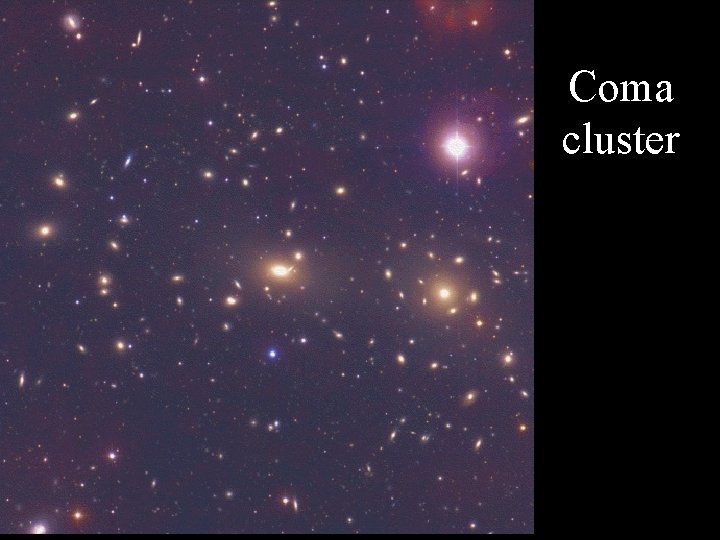 Coma cluster 