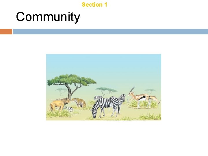 Chapter 18 Community Section 1 Introduction to Ecology Chapter 18 Community Section 1 Introduction to Ecology