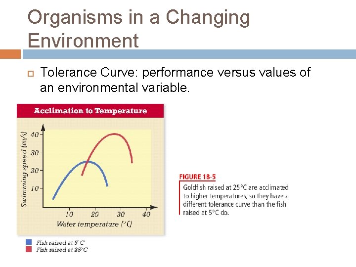 Organisms in a Changing Environment Tolerance Curve: performance versus values of an environmental variable. Organisms in a Changing Environment Tolerance Curve: performance versus values of an environmental variable.