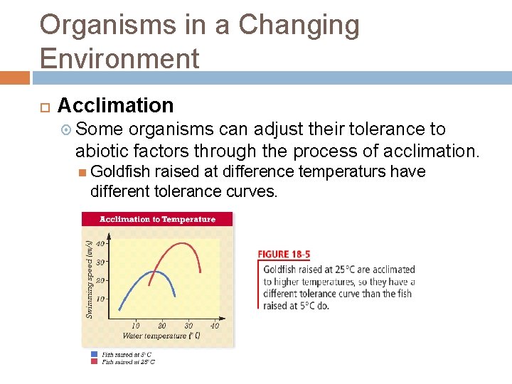 Organisms in a Changing Environment Acclimation Some organisms can adjust their tolerance to abiotic Organisms in a Changing Environment Acclimation Some organisms can adjust their tolerance to abiotic
