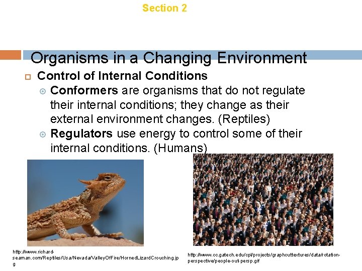 Chapter 18 Section 2 Ecology of Organisms in a Changing Environment Control of Internal Chapter 18 Section 2 Ecology of Organisms in a Changing Environment Control of Internal