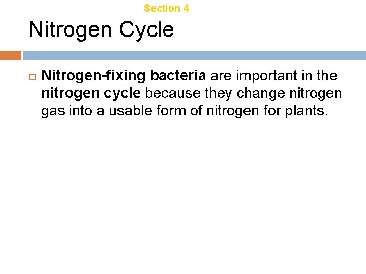 Chapter 18 Section 4 Ecosystem Recycling Nitrogen Cycle Nitrogen-fixing bacteria are important in the Chapter 18 Section 4 Ecosystem Recycling Nitrogen Cycle Nitrogen-fixing bacteria are important in the