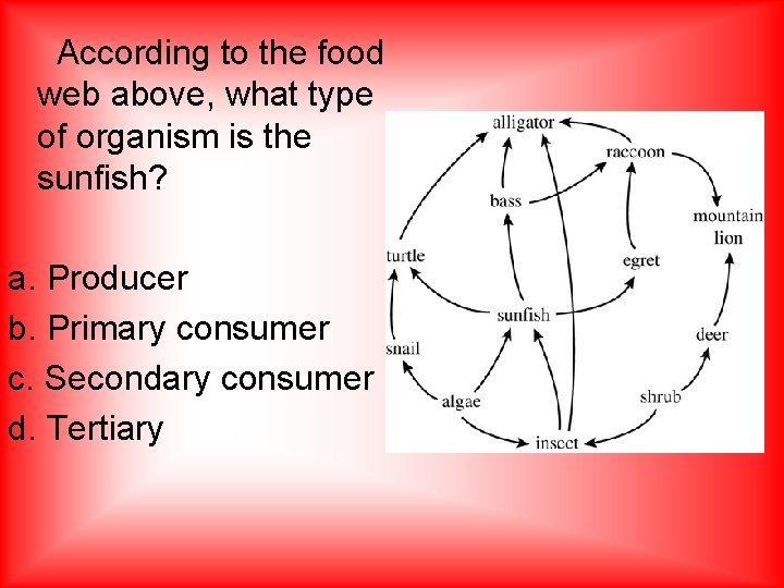  According to the food web above, what type of organism is the sunfish?