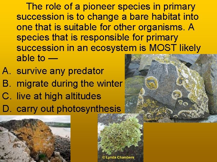  The role of a pioneer species in primary succession is to change a