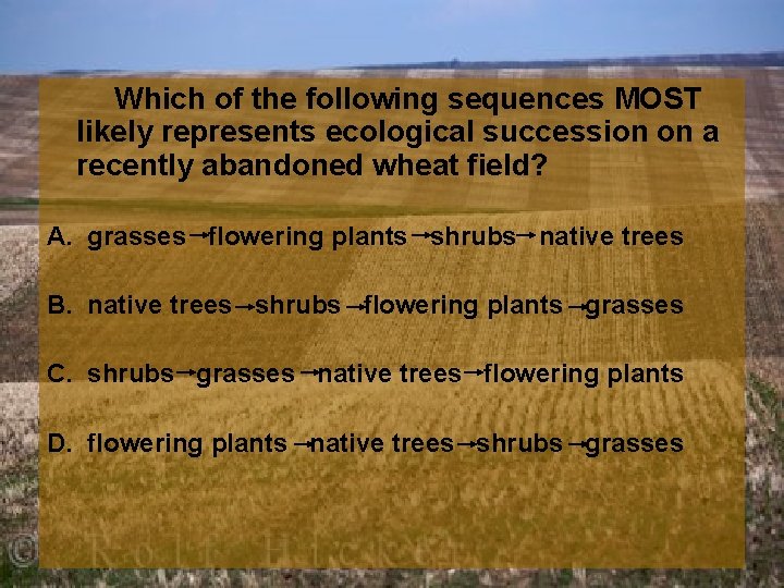  Which of the following sequences MOST likely represents ecological succession on a recently