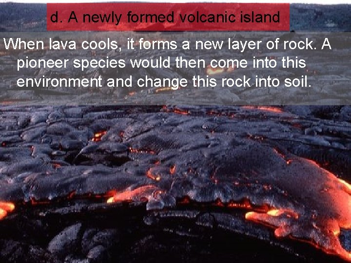 d. A newly formed volcanic island When lava cools, it forms a new layer